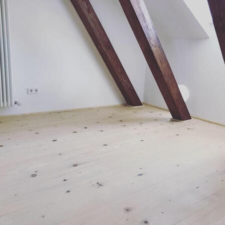 Renovierung ältestes Haus in Freising